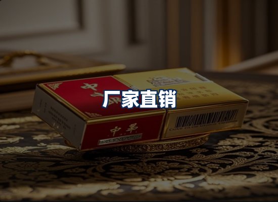 专业团队办公环境
